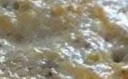 MARYLAND HOT CRAB DIP