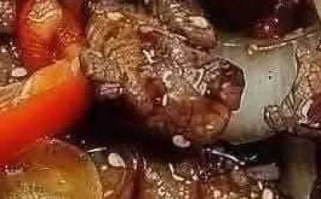 Chinese pepper steak with onions