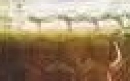 Why Grow Old When You Can Be Forever Young? Slow Down Aging with Olive Oil, Lemon Juice, and Honey