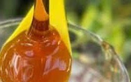 Become an Alpha Male All Night with This Potent Natural Mixture