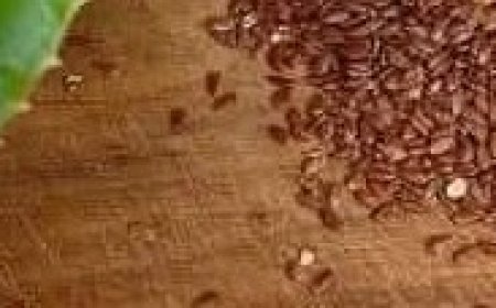 Nourishing Aloe Vera and Flaxseed Gel Mask Recipe