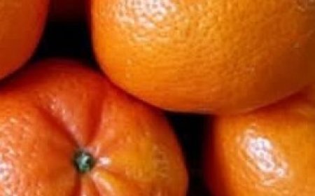 Orange Erases Wrinkles, Even at 70: Anti-Aging Skin Care Secrets