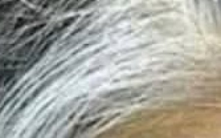 The Power of Ginger for Your Hair