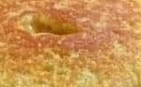 Recipe for a tender cake: Easy, without sugar or flour.