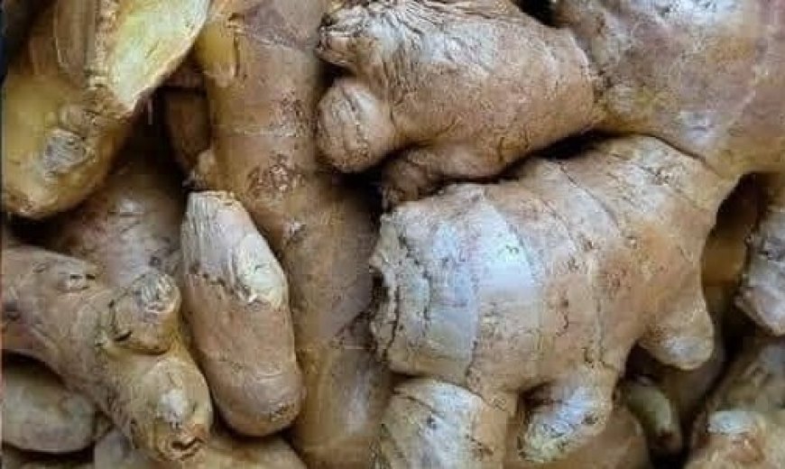 Ginger Magic: A Recipe for Revitalizing Your Intestines and Liver