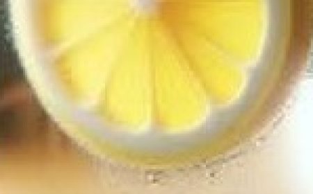 6 Natural Drinks for Better Kidney Health