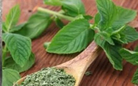 Cleanse Your Liver Naturally: Just 1 Spoon of Dried Mint a Day