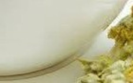 The Most Effective Way to Clear Your Lungs: Cough and Mucus Gone in 3 Days with Lemon Water!