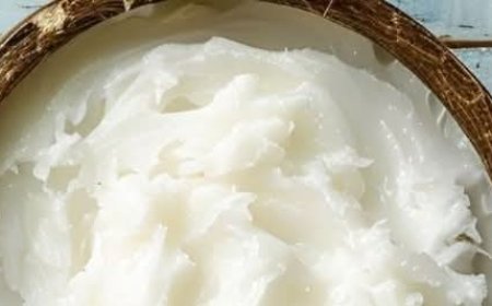 Foods to Rebuild Knee Cartilage: This Is What You Should Eat!