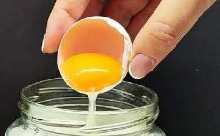 Homemade Fresh Cheese Recipe