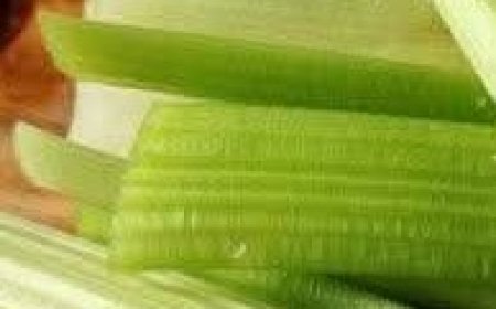 Liver Health Boosting Celery Juice Recipe