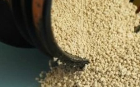 Yeast Removes Wrinkles in 3 Minutes: Natural Anti-Aging Mask