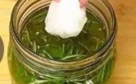 Unbelievable! Destroy Varicose Veins and Inflammation Naturally with Garlic