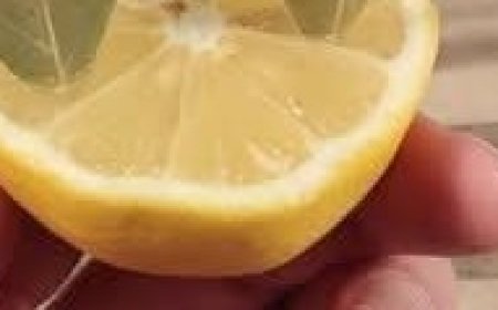 Stick a Laurel in a Lemon: A Simple Trick for a Healthier Home