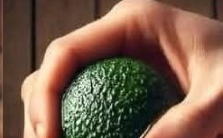 Quick DIY Avocado Oil Extraction by Heating