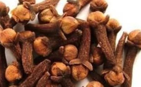 99% of People Don’t Know: Chewing 2 Cloves Daily Can Do This After 50