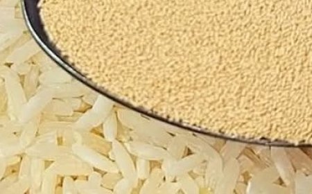 Mix Yeast with Rice: Rediscover This Long-Forgotten Recipe