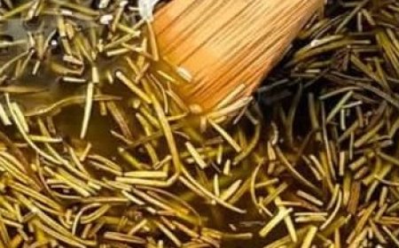 150 Times Stronger Than Lemon and Garlic! Rosemary for Hair Growth That’ll Make Your Hair Grow Like Crazy! ????✨
