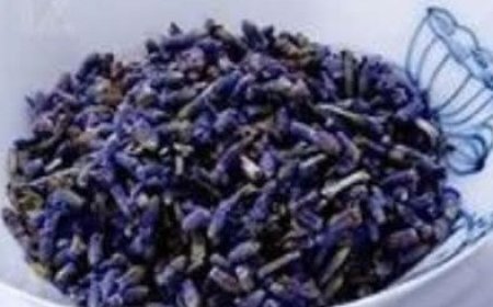 Lavender Tea: A Natural Way to Relax and Rejuvenate