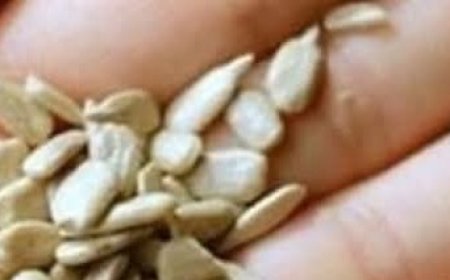 Alleviate Headaches Naturally with These Seeds