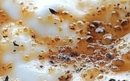 Chamomile & Honey Sleepytime Latte: Your Comfort in a Cup