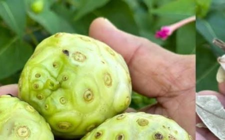 Say Goodbye to Cancer, Swollen Feet, Diabetes, and Poor Circulation with This Natural Recipe