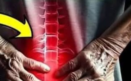 Natural solution for joint and muscle pain