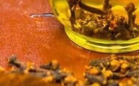 Clove Tea: A Healthy Drink with Amazing Benefits to Improve Your Health