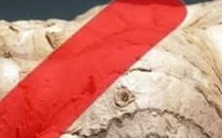 Avoid Ginger If You Have THESE Health Conditions