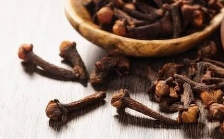 The Remarkable Benefits of Clove Tea: A Glass a Day for Clear Vision and a Clear Mind