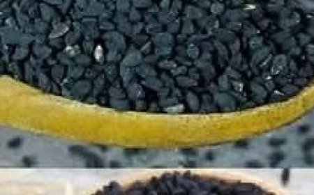 Black Cumin: The Seed with Miraculous Health Benefits