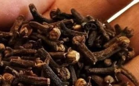 The Powerful Spice That Can Help Destroy Parasites