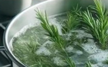 Rosemary for Vision: A Natural Way to Tackle Cataracts and Eye Inflammation