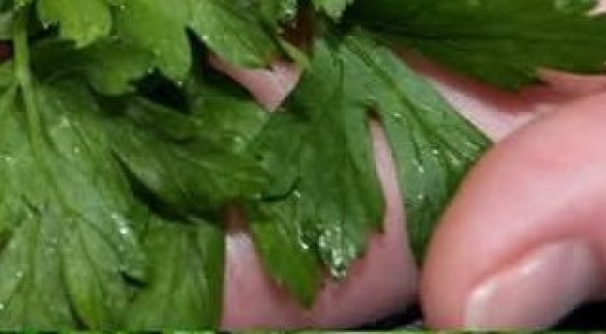 Elixir of Youth: Parsley Tightens Skin and Instantly Smoothes Wrinkles!