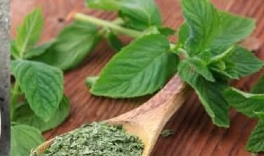 Cleanse Your Liver Naturally: Just 1 Spoon of Dried Mint a Day