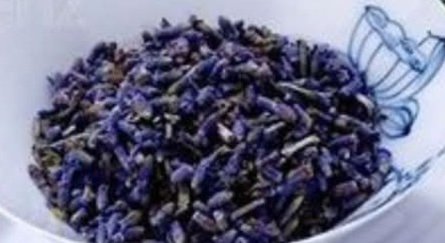 Lavender Tea: A Natural Way to Relax and Rejuvenate