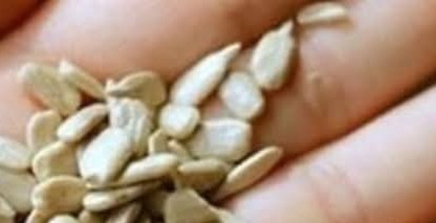 Alleviate Headaches Naturally with These Seeds