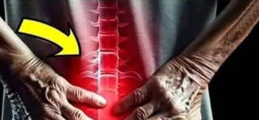 Natural solution for joint and muscle pain