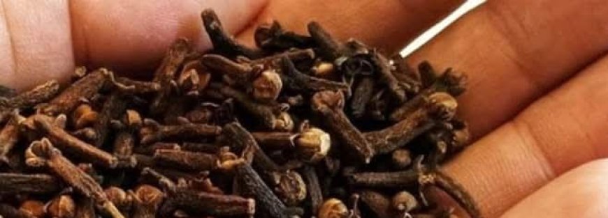 The Powerful Spice That Can Help Destroy Parasites