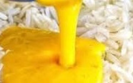 Lose Weight Naturally: How Rice and Eggs Can Help You Shed 15 kg in a Month