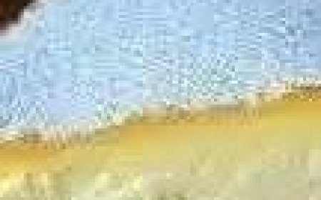 Japanese Cotton Cheesecake Recipe