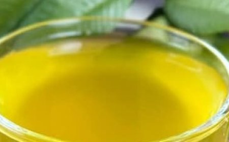 The Healing Leaves for All Your Ailments: Diabetes, Poor Circulation, Fatty Liver, High Blood Pressure, and Cancer.