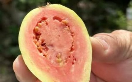 Eliminate Numb Legs, Diabetes, Itching, Cramps, and High Blood Pressure with Just One Cup of This Powerful Mixture????