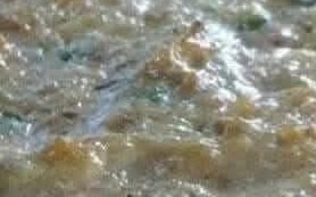 Maryland Hot Crab Dip