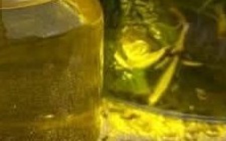 Aloe Vera & Rosemary: The Ultimate Detox for Your Body