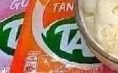 Dégustez de délicieuses glaces faites maison avec un minimum d’effort