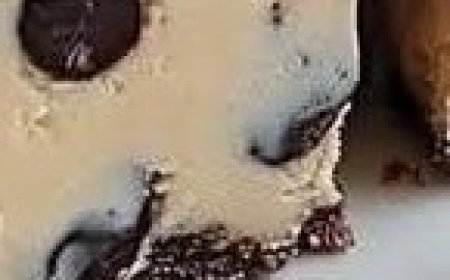 Sweet Milk Fudge Squares: A Two-Ingredient Delight!