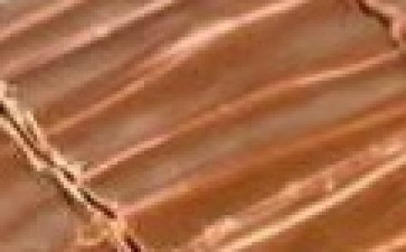 The Best Ever Scotcheroos: A No-Bake Sweet & Chewy Treat