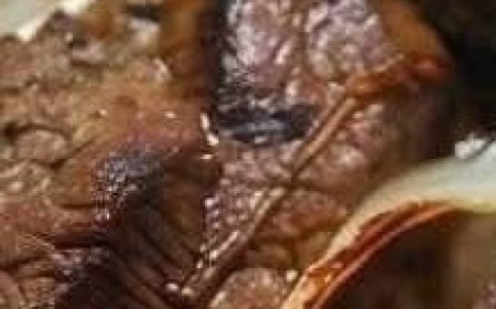 Sizzling Chinese Pepper Steak with Onions