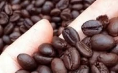 French Betty Secretary